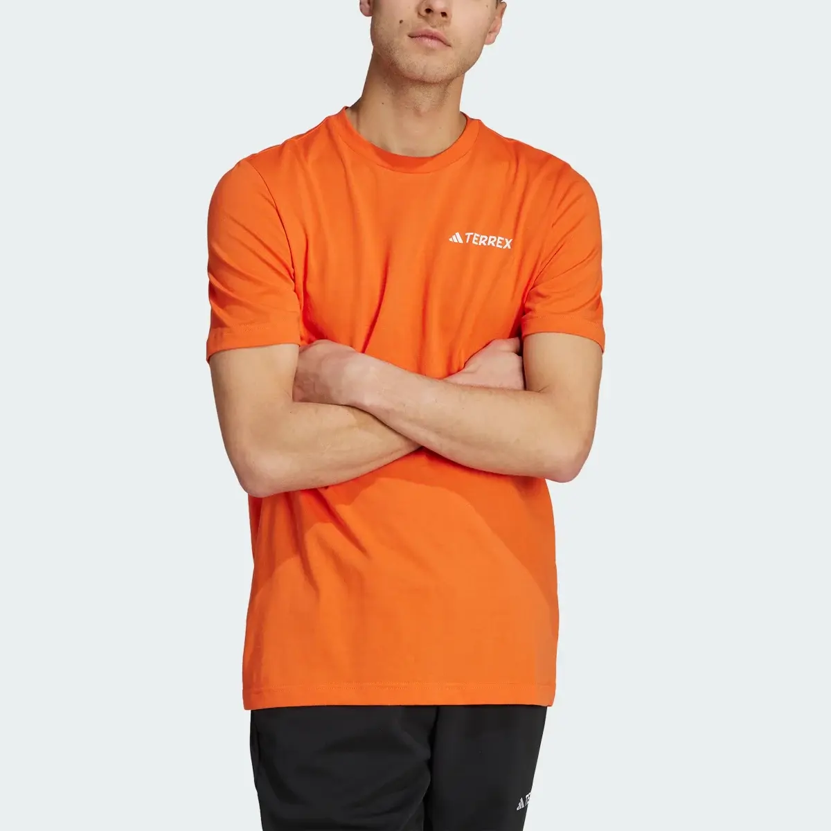 Adidas Terrex Graphic MTN 2.0 Tee. 1