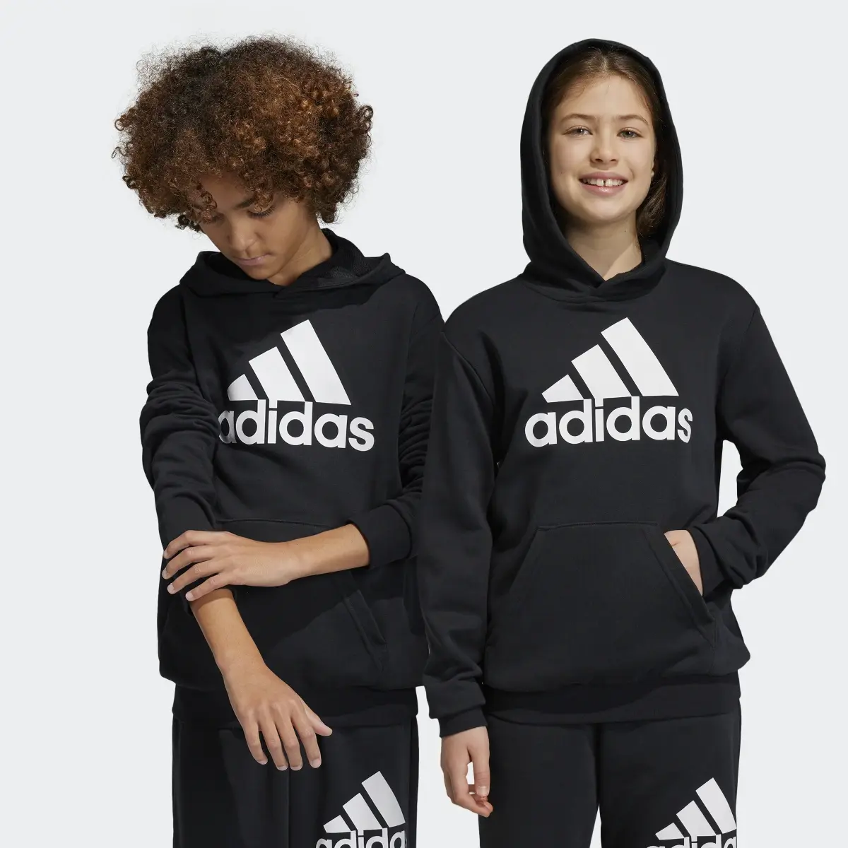 Adidas Essentials Big Logo Hoodie. 1