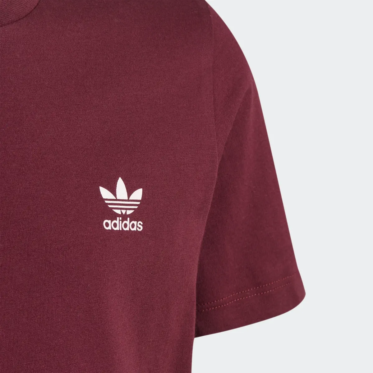 Adidas Adicolor Tee. 3