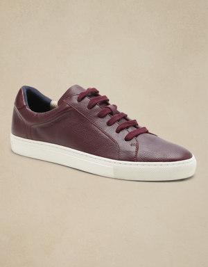 Nicklas Leather Sneaker purple