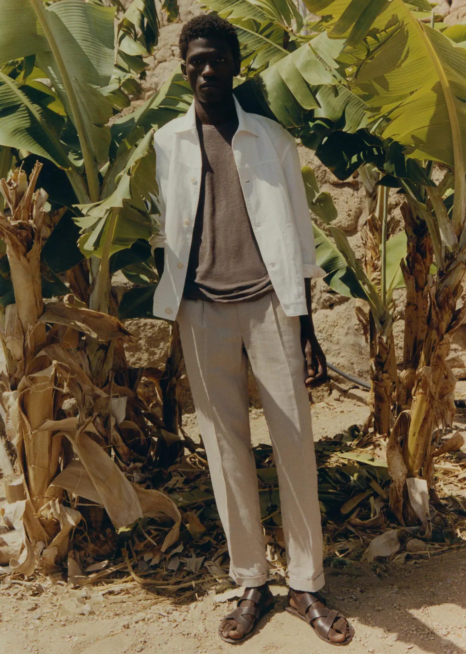 Mango 100% linen slim-fit t-shirt. a man in a white suit standing next to a banana tree. 
