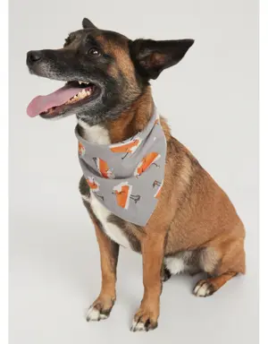 Holiday Print Bandanna for Pets gray