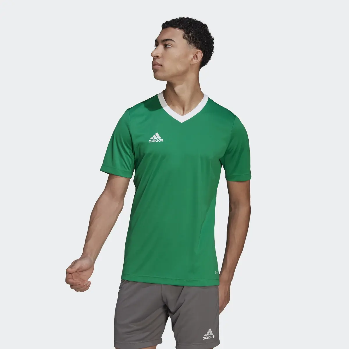 Adidas Camiseta Entrada 22. 2