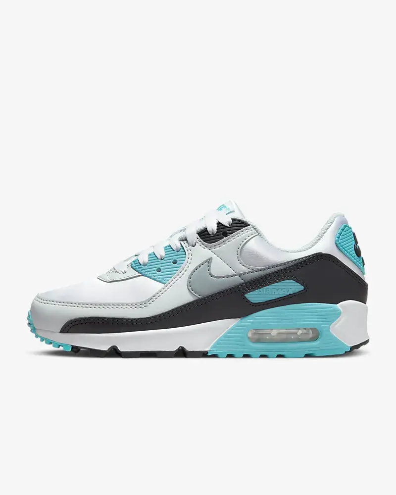 Nike Air Max 90. 1