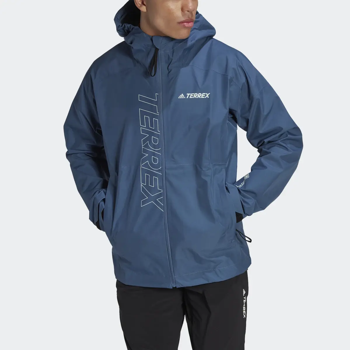 Adidas Terrex GORE-TEX Paclite Rain Jacket. 1