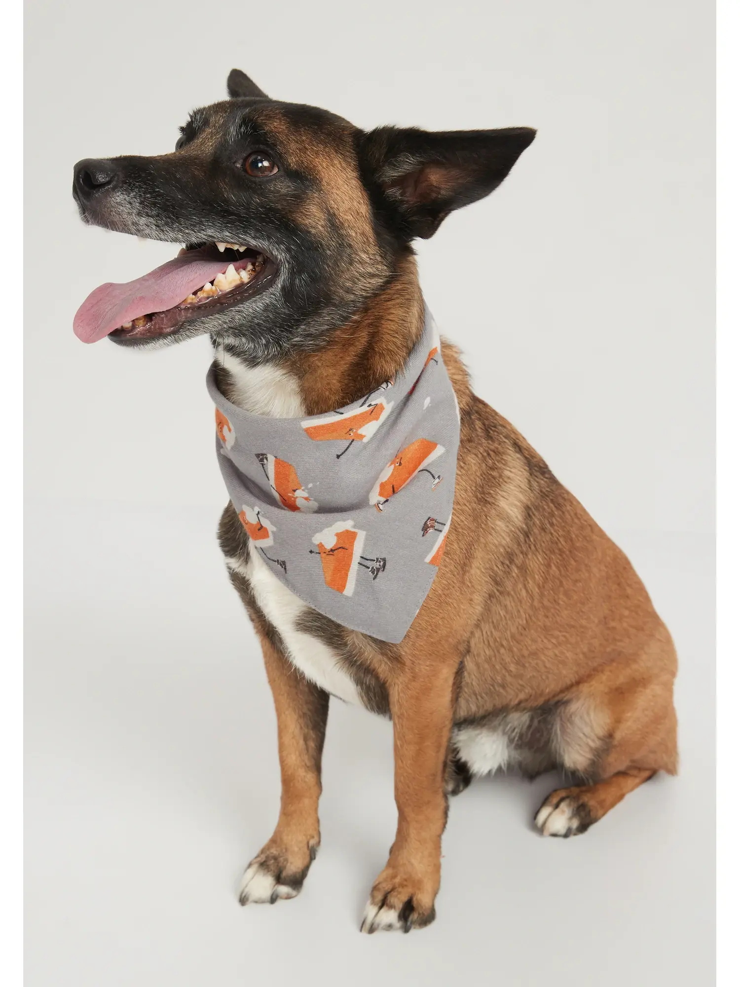 Old Navy Holiday Print Bandanna for Pets gray. 1