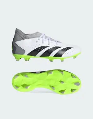 Adidas Predator Accuracy.3 Firm Ground Cleats