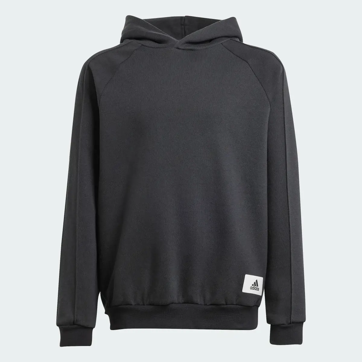 Adidas Sudadera con capucha The Safe Place. 1