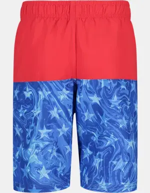 Little Boys' UA Liquid Star Colorblock Swim Volley Shorts