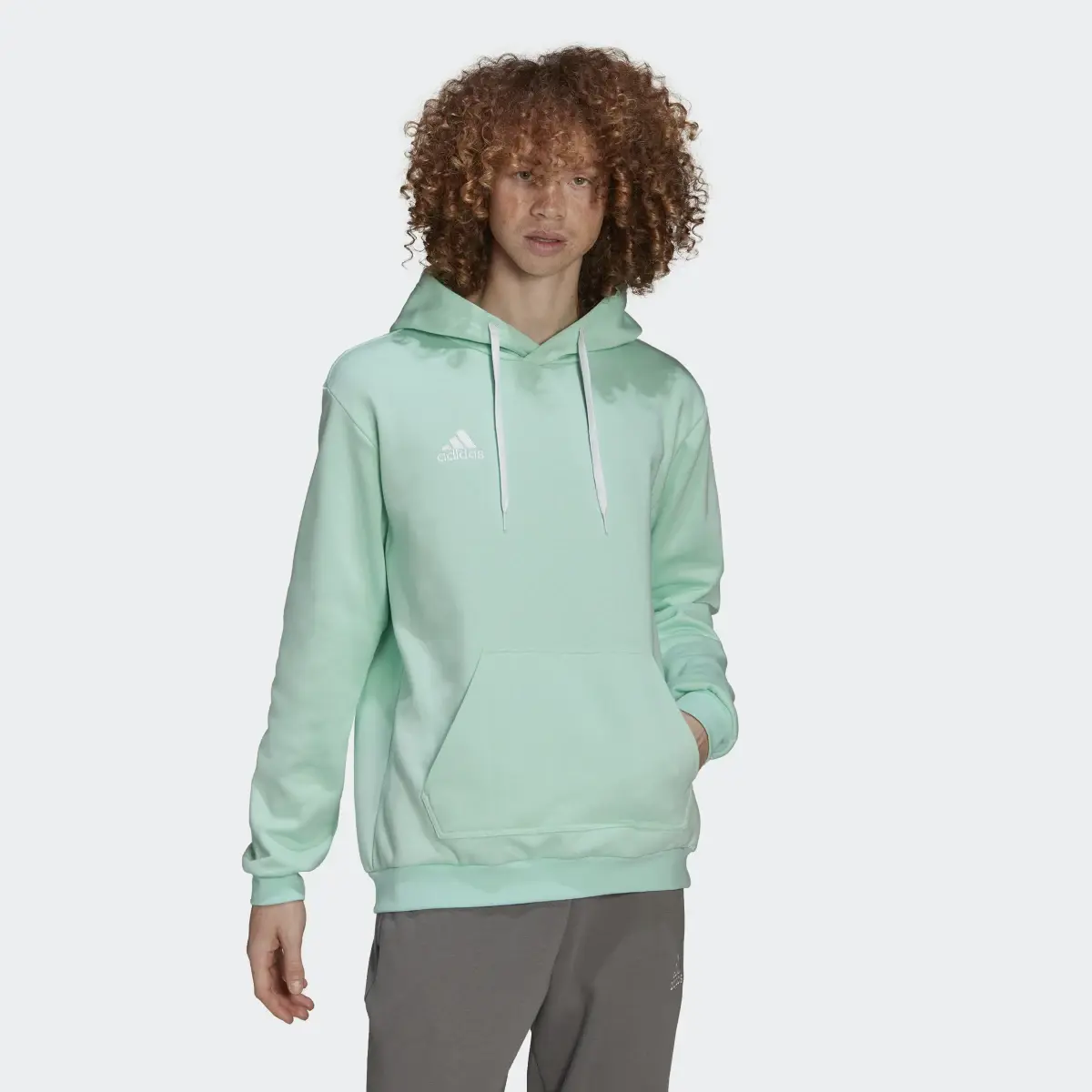 Adidas Entrada 22 Sweat Hoodie. 2