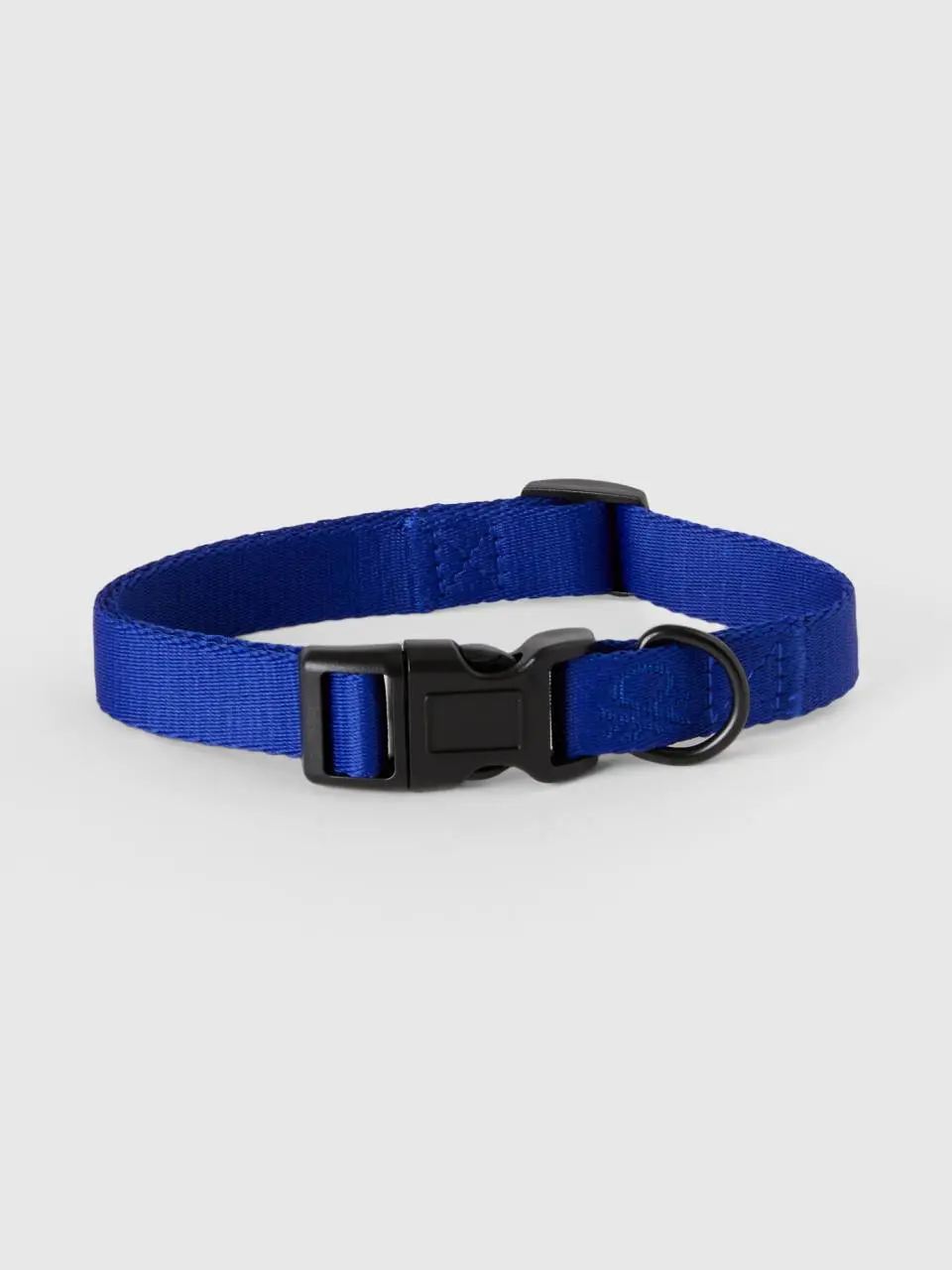 Benetton cornflower blue collar for dogs. 1