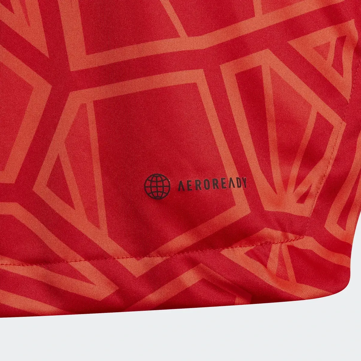 Adidas Camiseta manga larga portero Condivo 22. 3