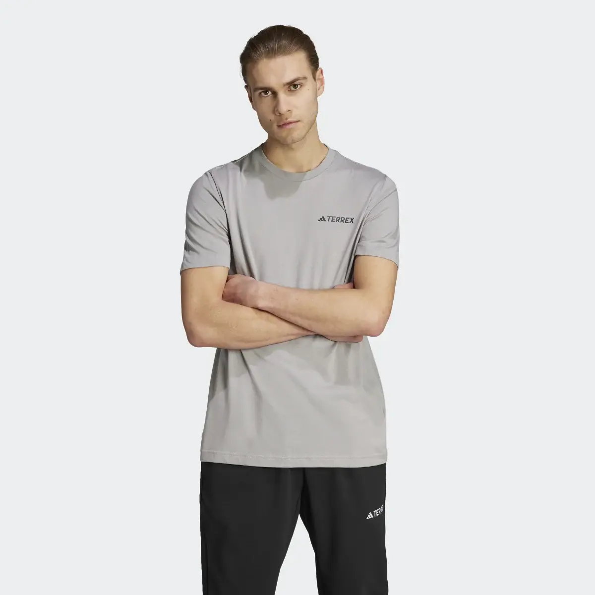 Adidas Camiseta Terrex Graphic MTN 2.0. 2