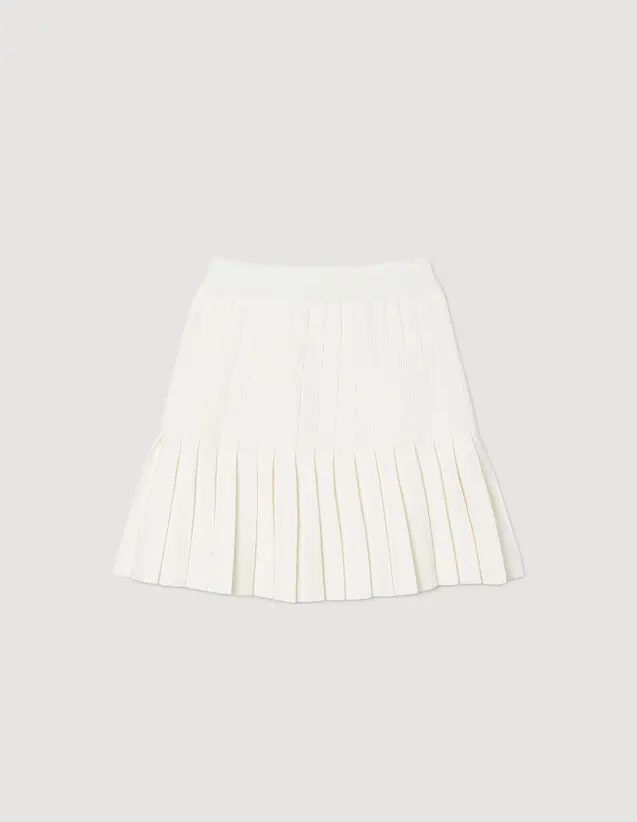 Sandro Pleated skirt. 2