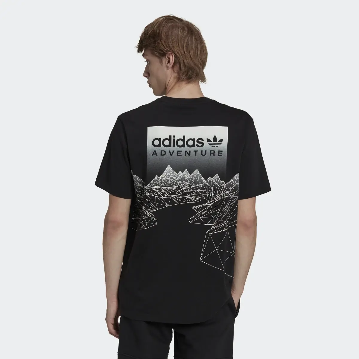 Adidas Adventure Mountain Back Tee. 3