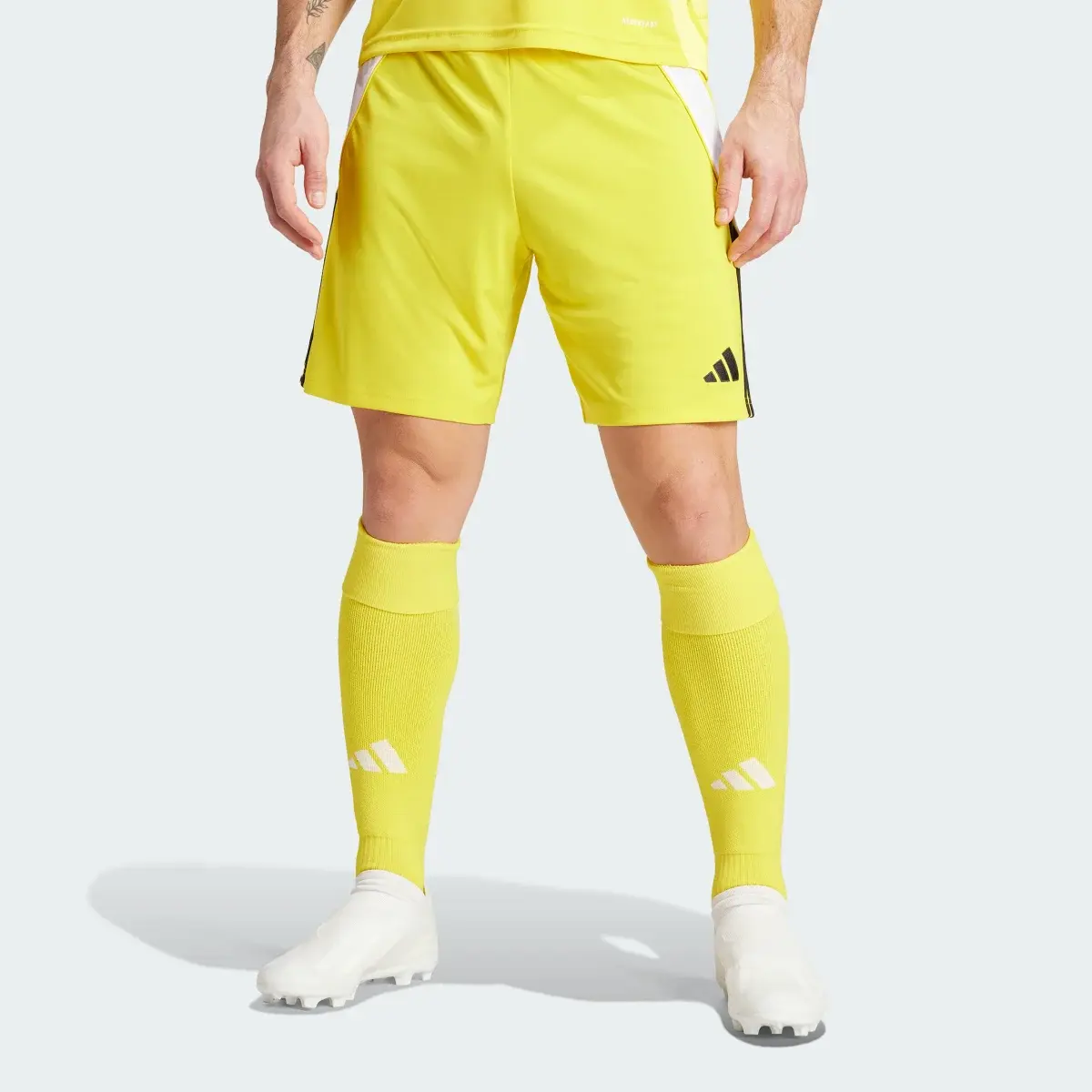 Adidas Tiro 24 Shorts. 1