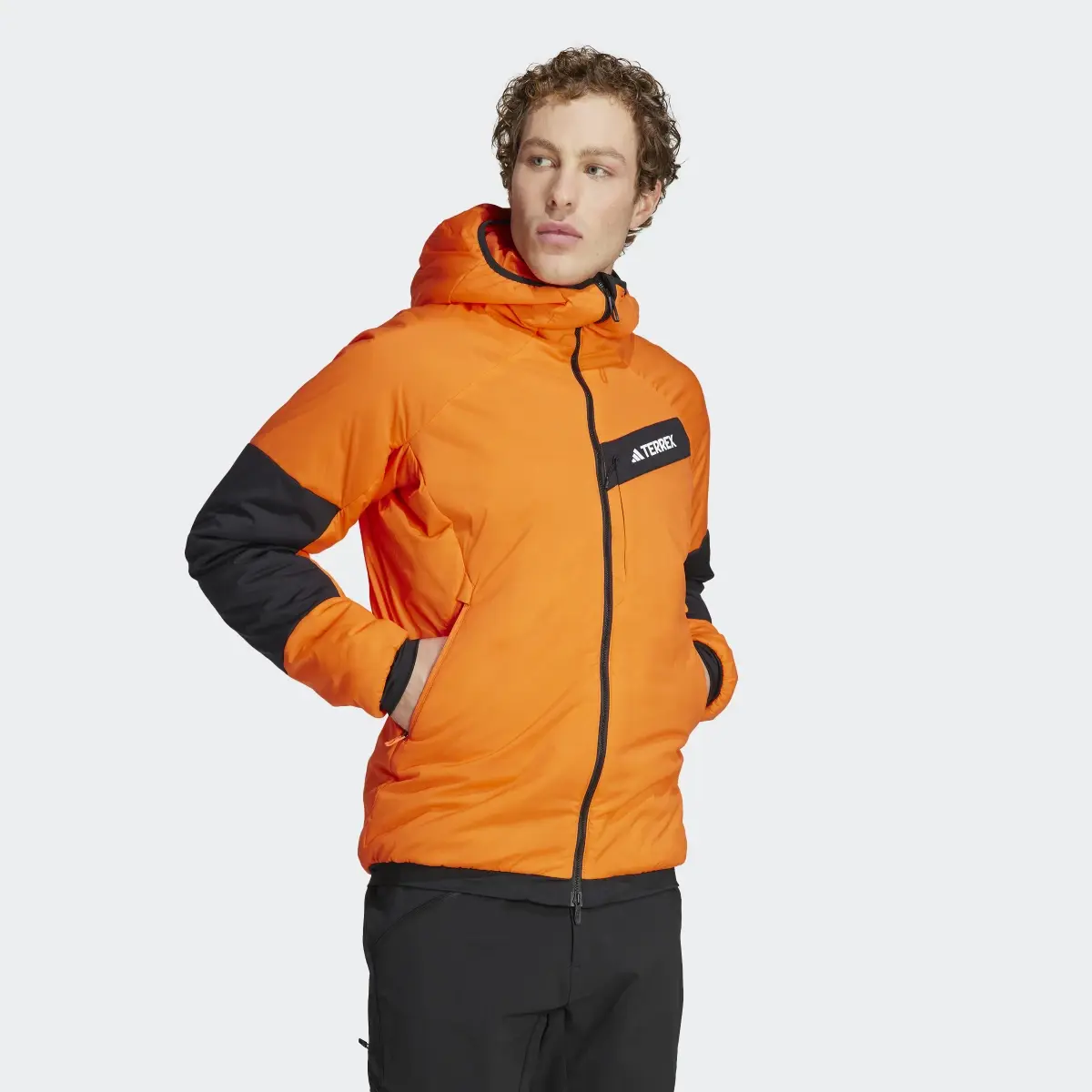 Adidas Terrex Techrock Stretch PrimaLoft Hooded Jacket. 2