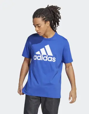 Camiseta Essentials Single Jersey Big Logo