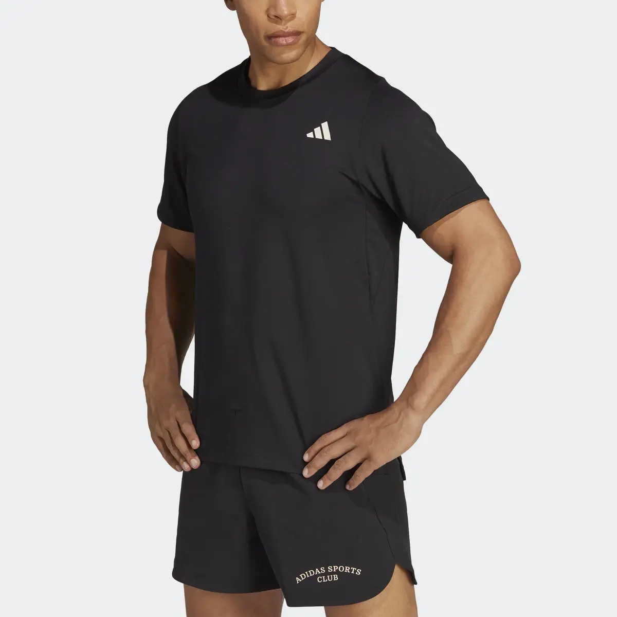 Adidas T-shirt Sports Club. 1