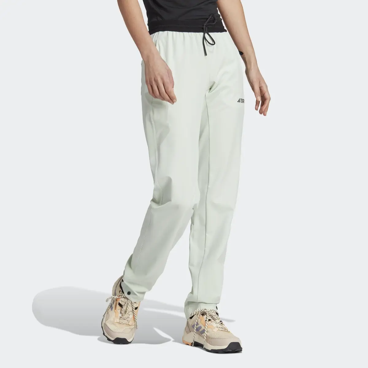 Adidas Terrex Liteflex Hiking Pants. 3