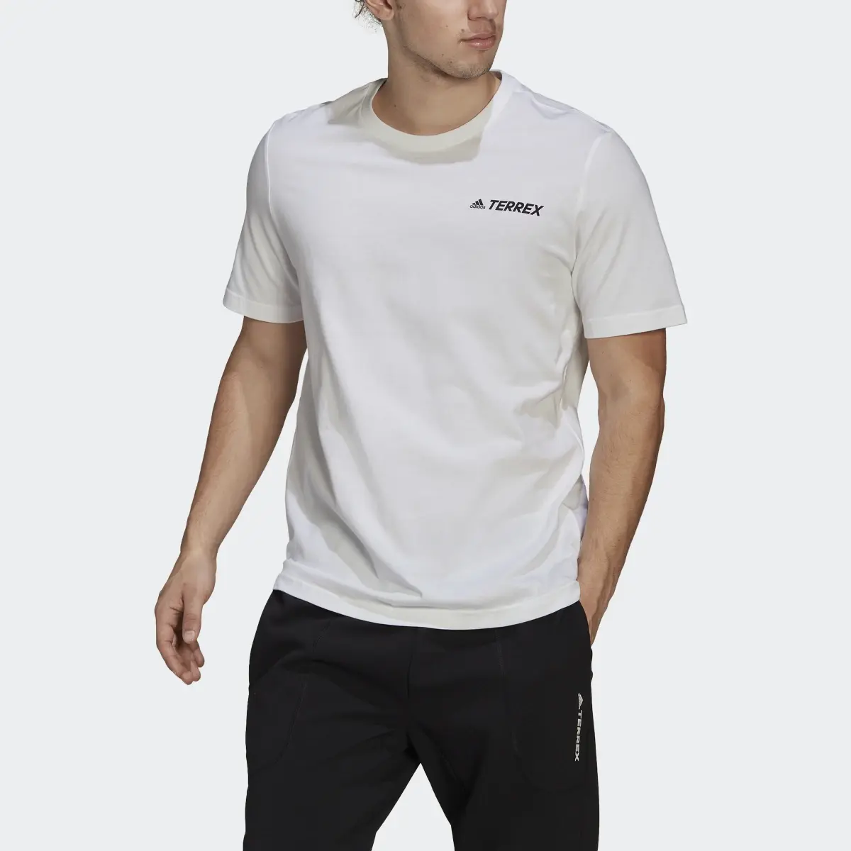 Adidas Camiseta Terrex Mountain Graphic. 1
