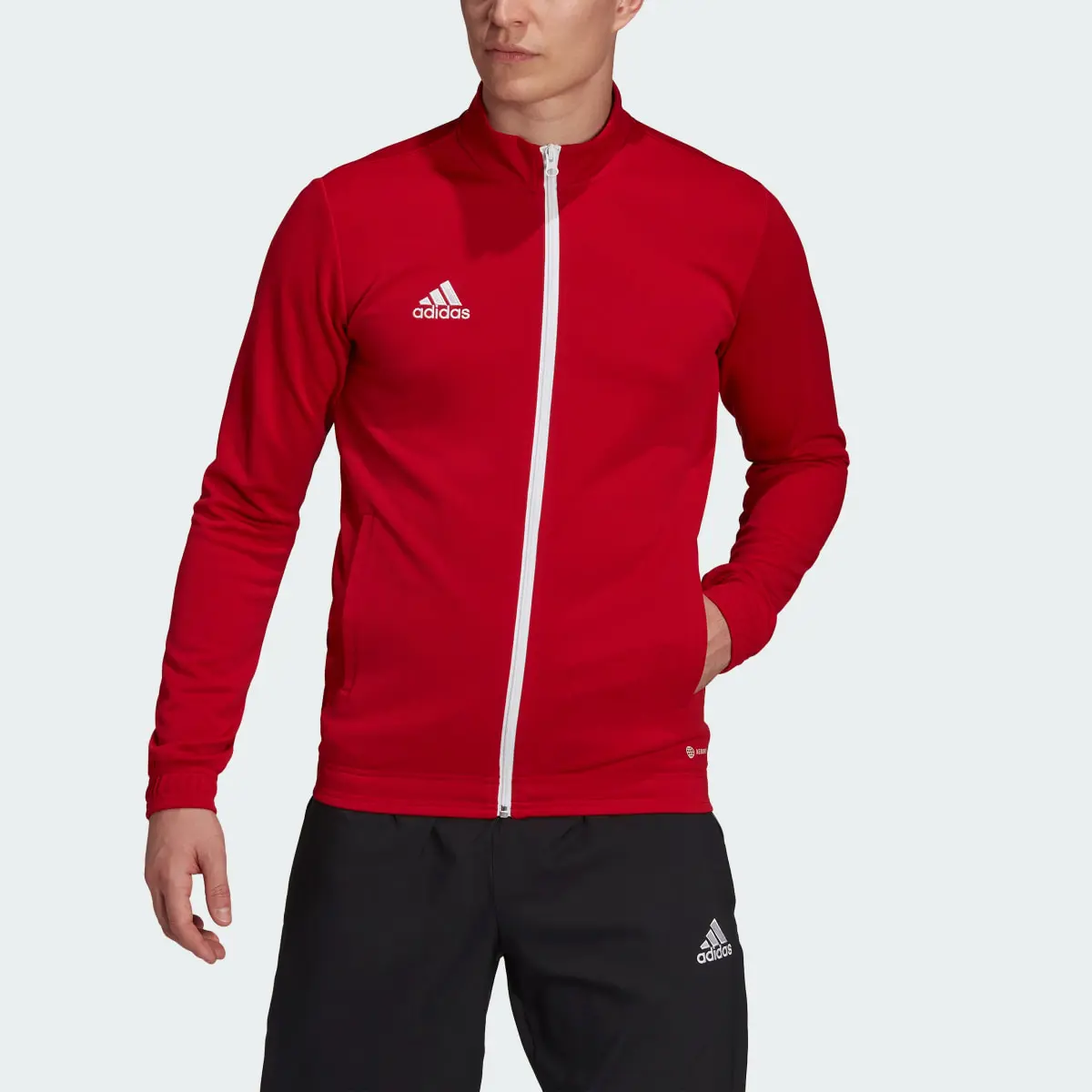 Adidas Casaco Entrada 22. 1