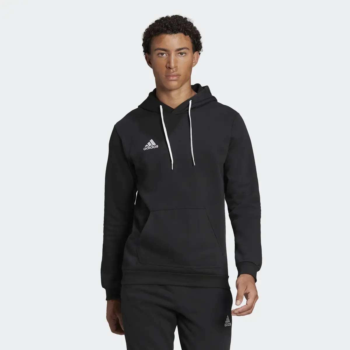 Adidas Entrada 22 Sweat Hoodie. 2