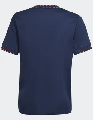 Camiseta segunda equipación Ajax 22/23