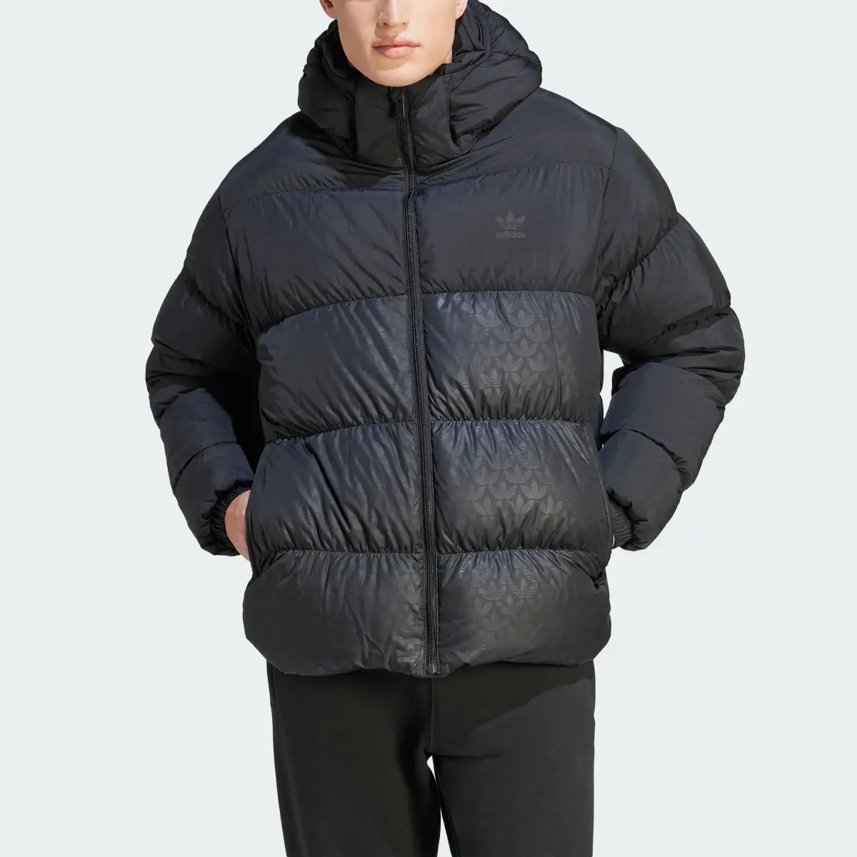 Adidas Down Regen Monogram Hooded Puffer Jacket. 1