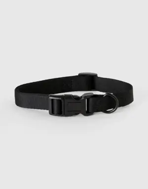 black dog collar