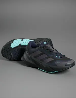 Adistar COLD.RDY Shoes