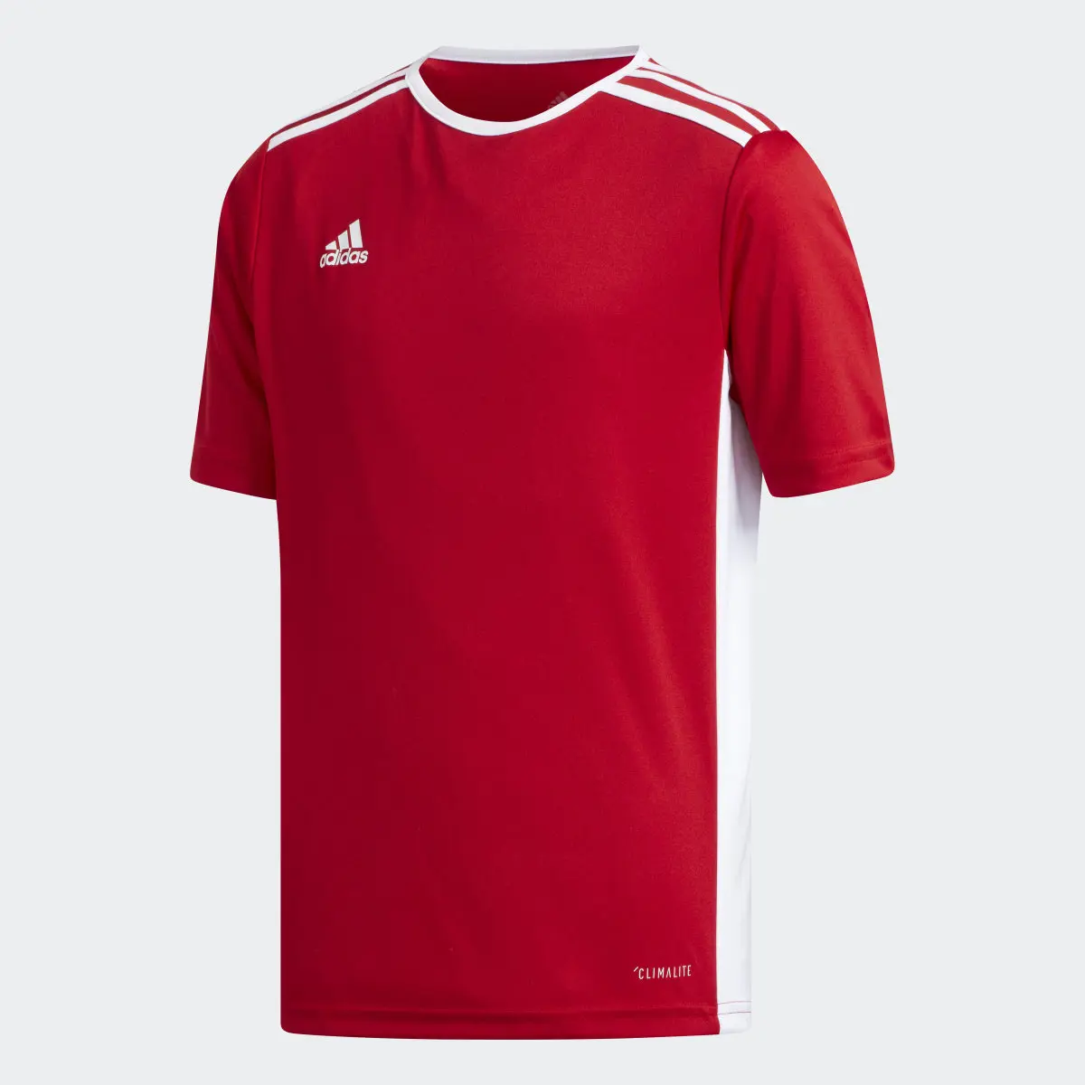 Adidas Entrada Jersey. 1