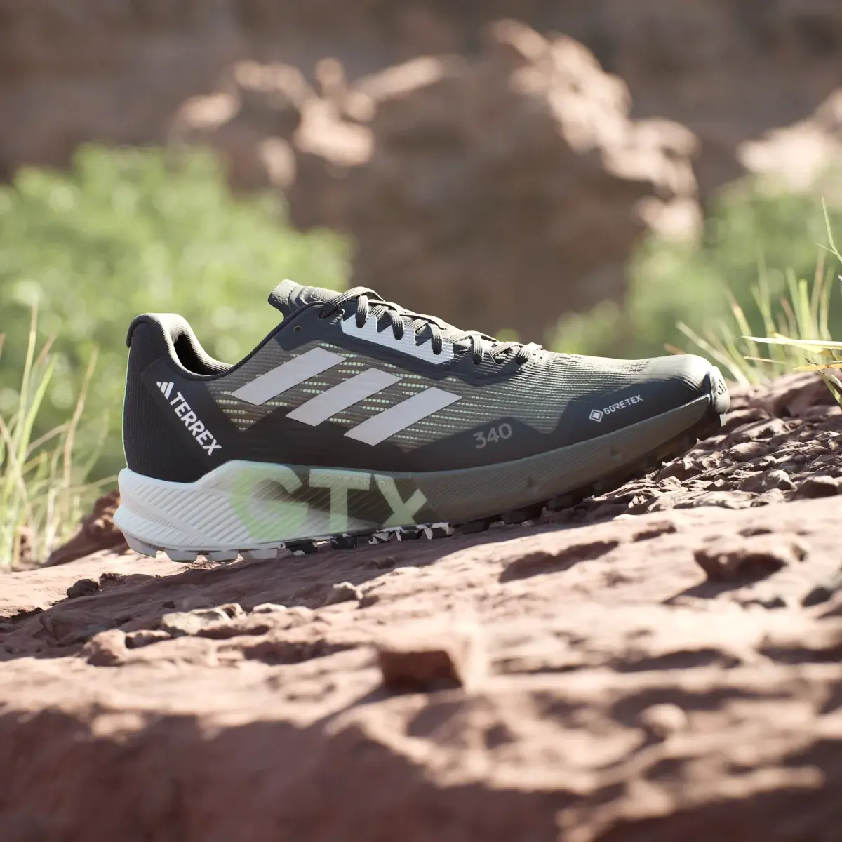 Adidas Zapatilla Terrex Agravic Flow GORE-TEX Trail Running 2.0. 3