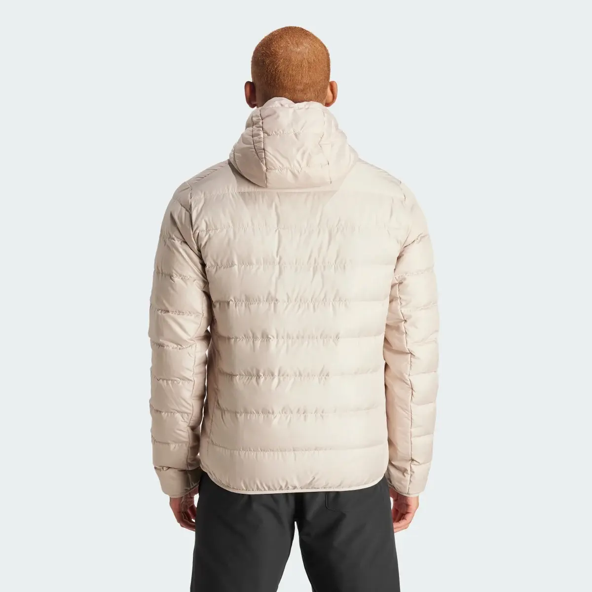 Adidas Terrex Multi Light Down Hooded Jacket. 3