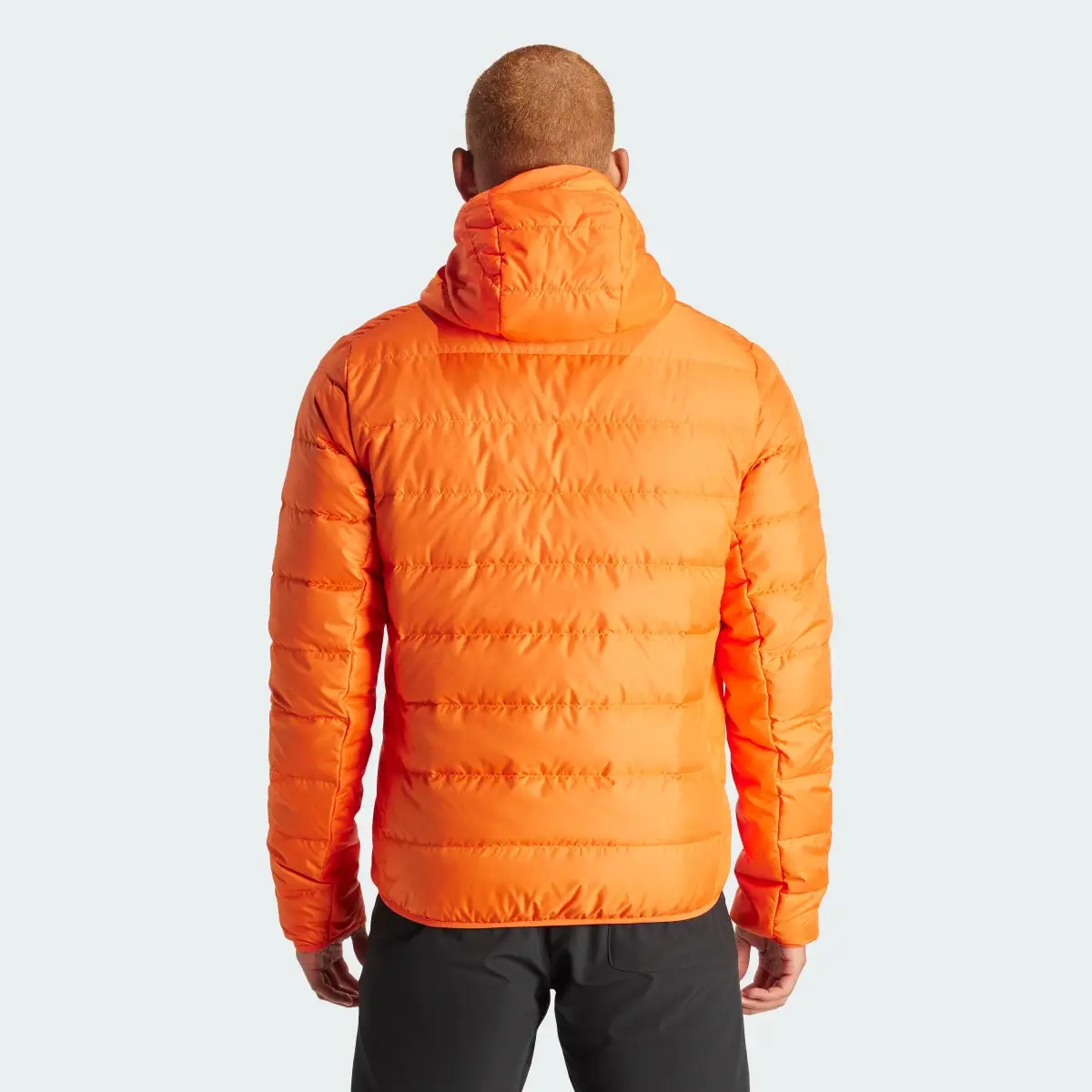 Adidas Terrex Multi Light Down Hooded Jacket. 3