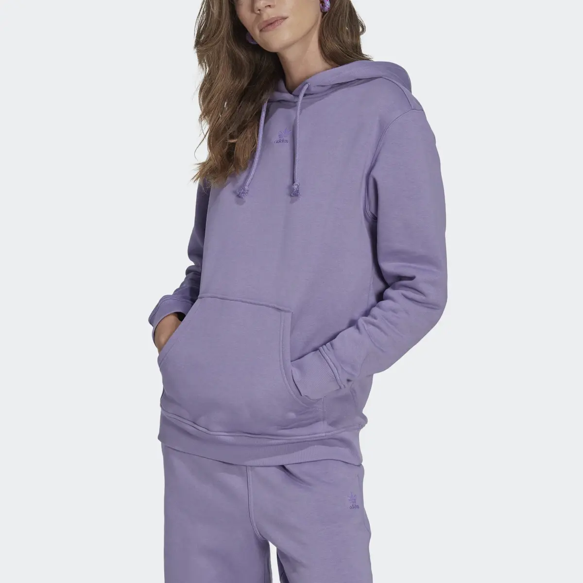 Adidas Adicolor Essentials Fleece Hoodie. 1