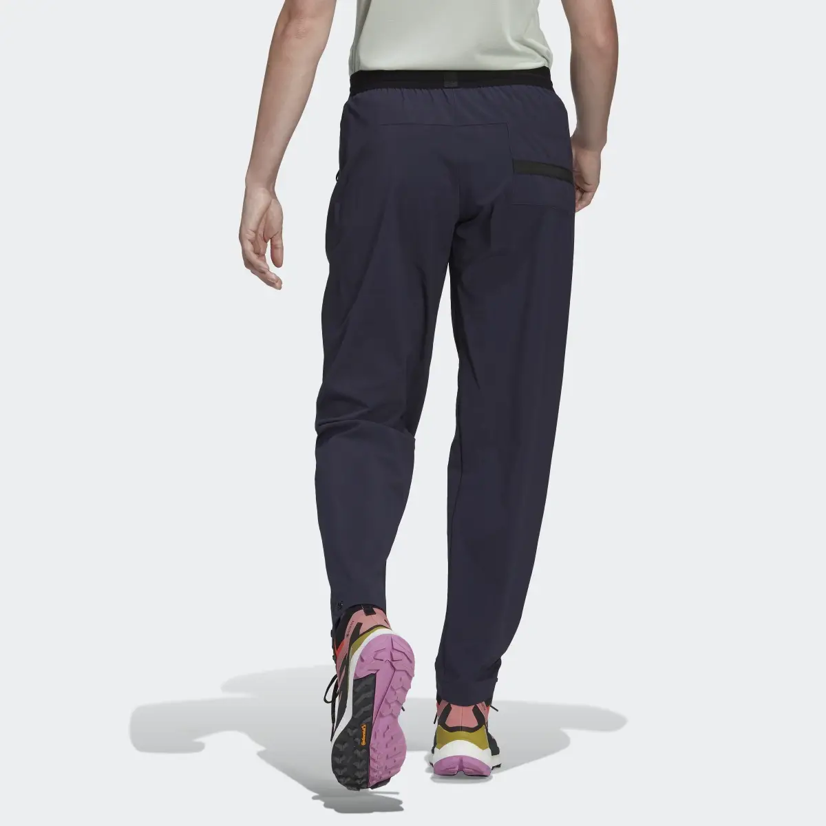 Adidas Terrex Liteflex Hiking Pants. 2