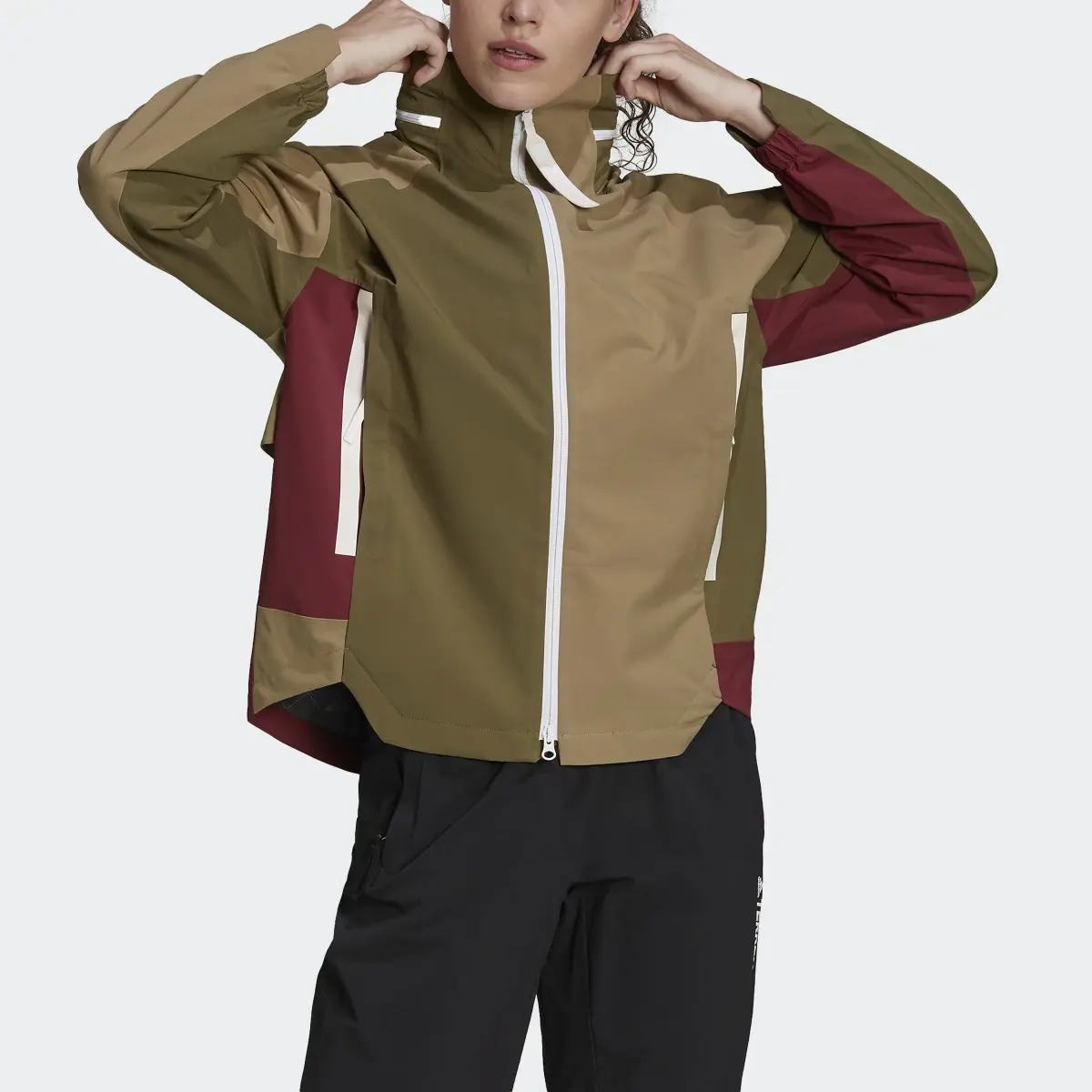 Adidas Terrex CT MYSHELTER RAIN.RDY Colorblock Jacket. 1