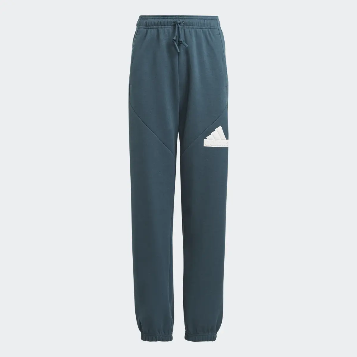 Adidas Future Icons Logo Pants. 1