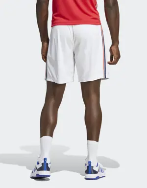 France Handball Shorts