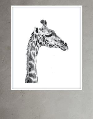 Banana Republic Portrait of a Giraffe by Marina Cano white