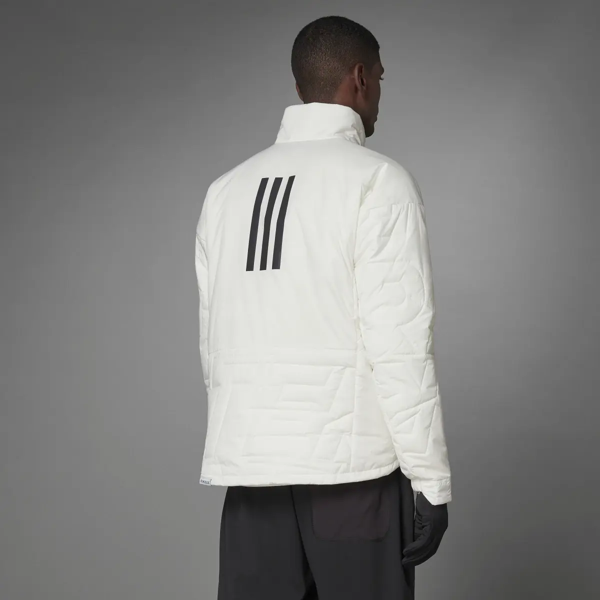 Adidas Casaco Acolchoado Primaloft Myshelter TERREX. 2