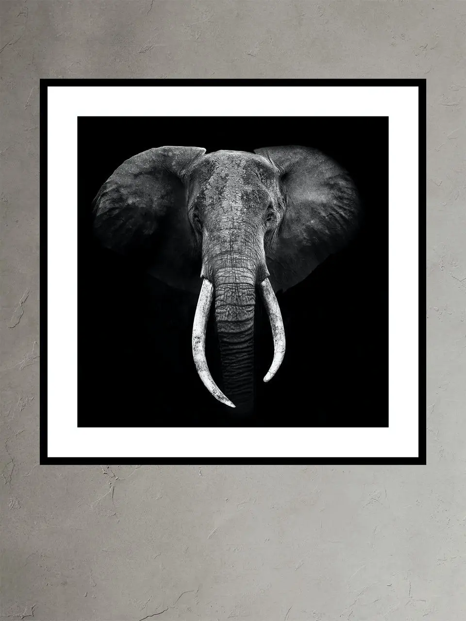 Banana Republic Elephant Portrait by Marina Cano black. 1