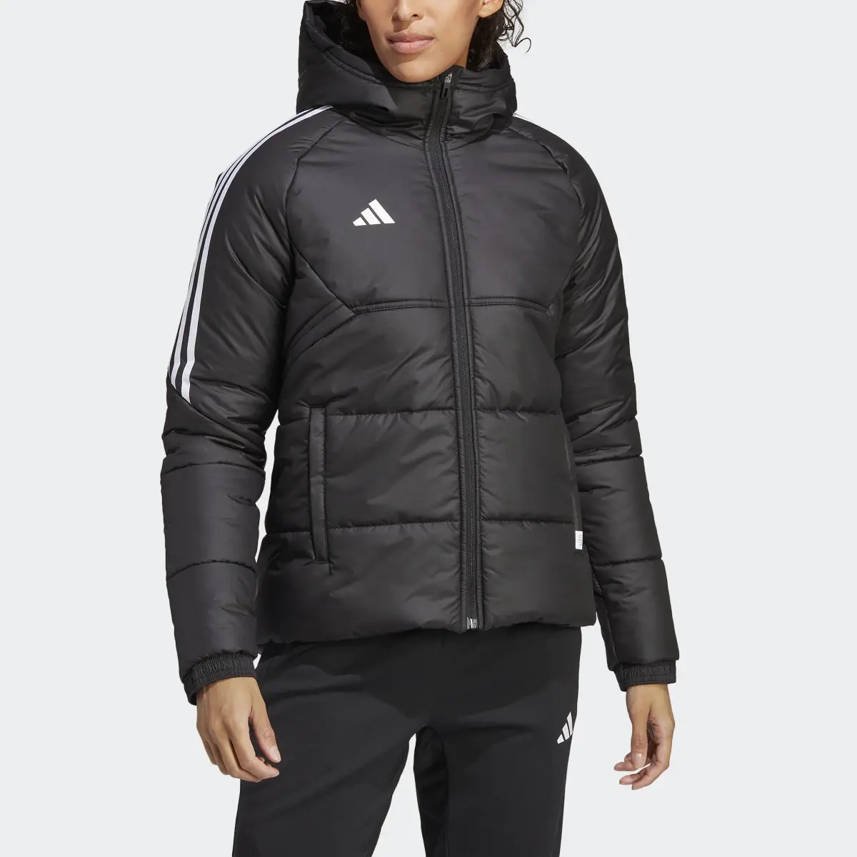 Adidas Casaco de Inverno Condivo 22. 1