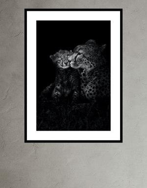 Banana Republic Cheetah Affections by Marina Cano black