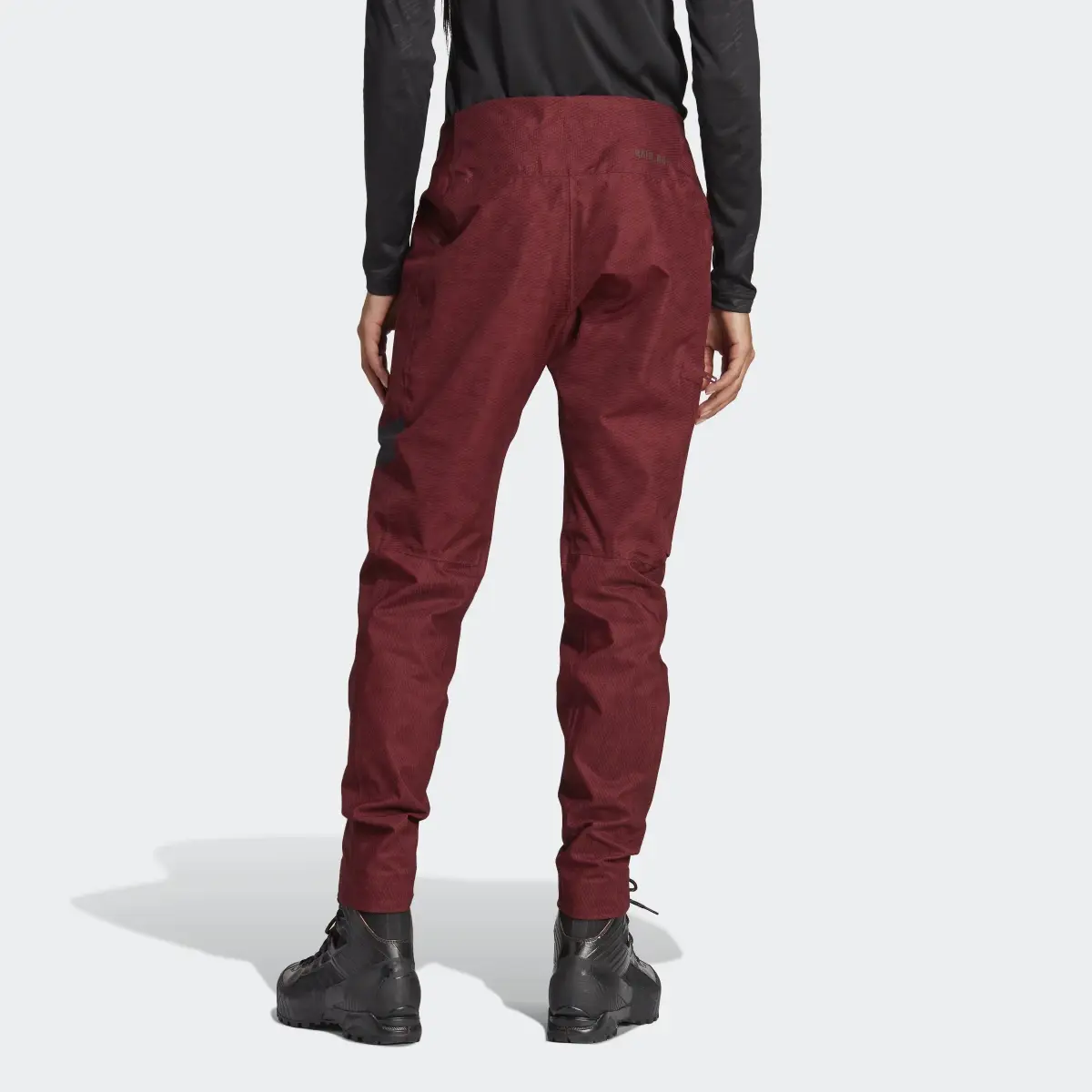 Adidas Terrex Techrock RAIN.RDY Pants. 2