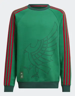 Sudadera Selección Nacional de México Cuello Redondo