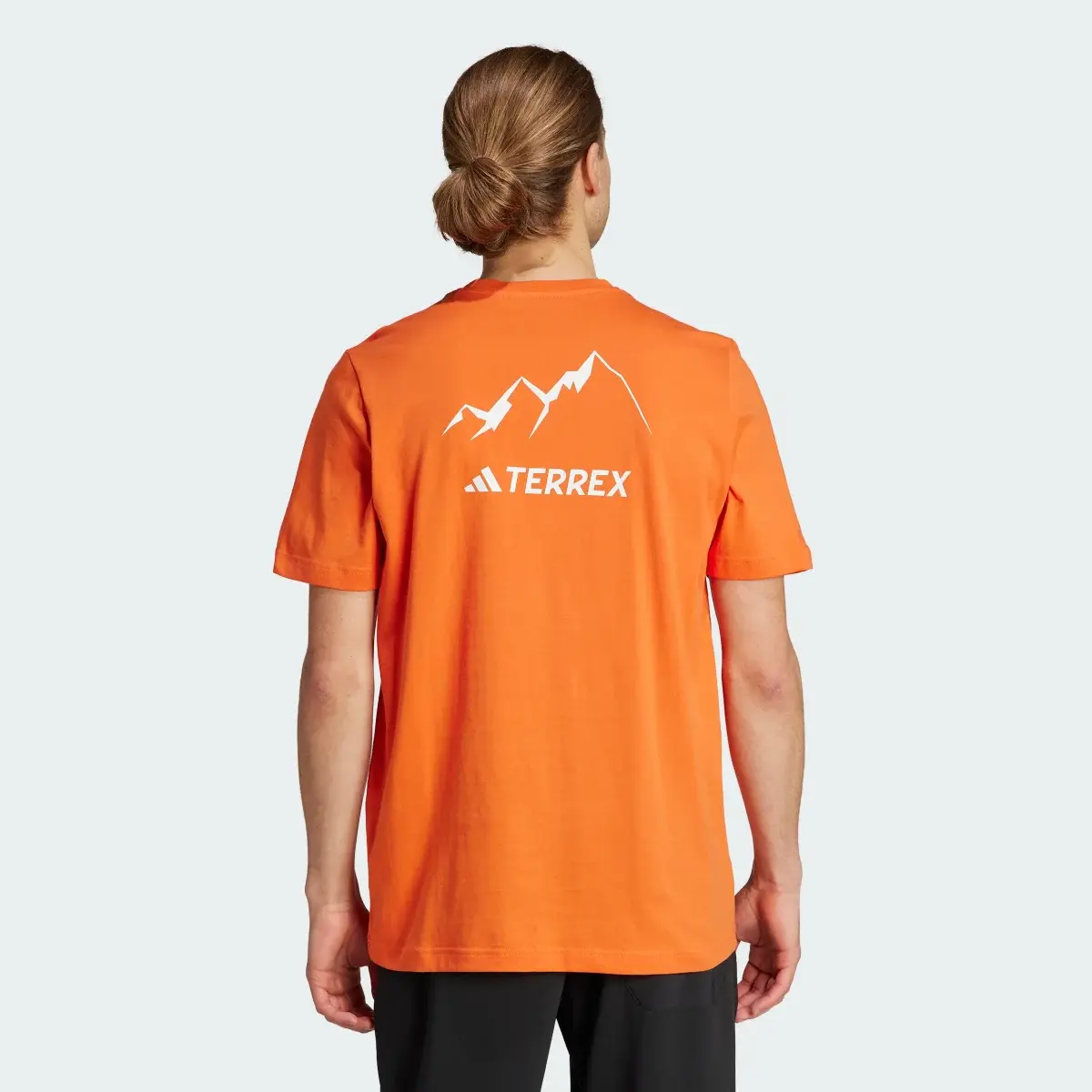 Adidas Terrex Graphic MTN 2.0 T-Shirt. 3