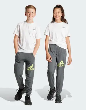 Adidas Essentials Regular Fit Big Logo Cotton Pants