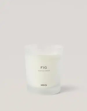 Fig scented candle